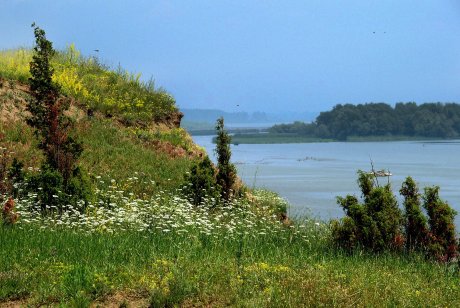Novi Sad Novi Sad