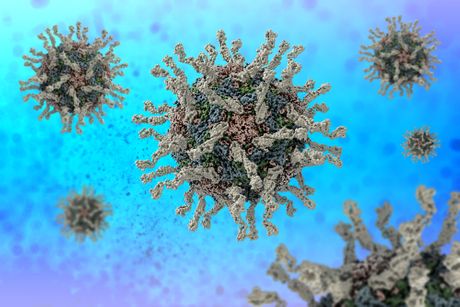 Korona virus, bakterija, grip, bolest, zaraza, epidemija Korona virus, bakterija, grip, bolest, zaraza, epidemija