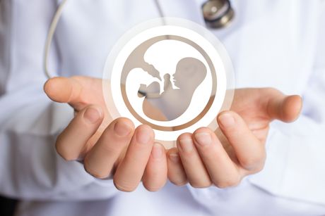 vantelesna oplodnja, Spermatozoidi, Sperma, Veštačka oplodnja, vantelesna oplodnja, Beba iz epruvete, Začeće, oplodnja vantelesna oplodnja, Spermatozoidi, Sperma, Veštačka oplodnja, vantelesna oplodnja, Beba iz epruvete, Začeće, oplodnja