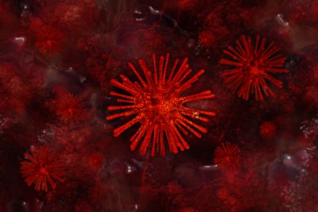 korona virus, mikroskop, virus korona virus, mikroskop, virus