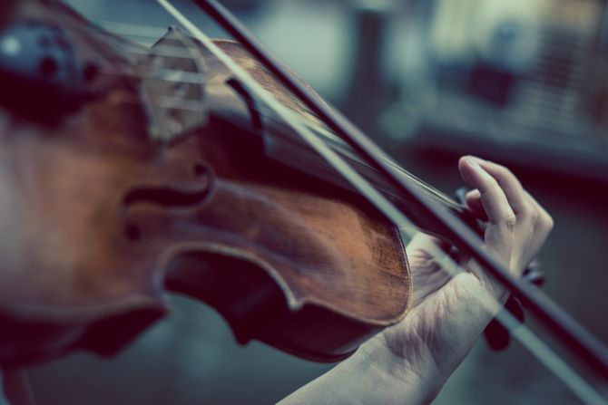 Violina Violina