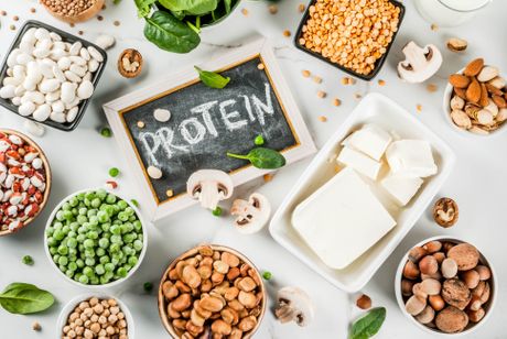 proteini ishrana biljna ishrana proteini ishrana biljna ishrana