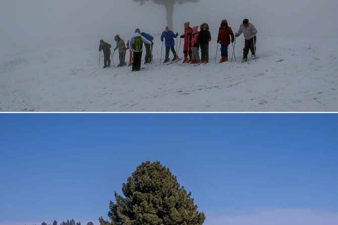Skijalište Gulmarg Kašmir Indija Pakistan suša Skijalište Gulmarg Kašmir Indija Pakistan suša