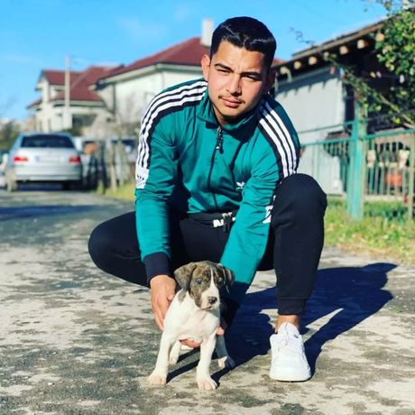 Osumnjičeni Padinska skela, Srećko Stefanović Osumnjičeni Padinska skela, Srećko Stefanović