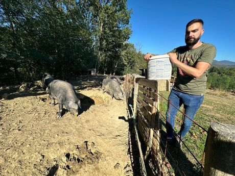 Đorđe Isailović Gornji Milanovac Đorđe Isailović Gornji Milanovac