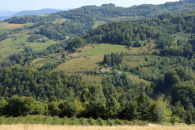 Planina Javor, Srbija Planina Javor, Srbija