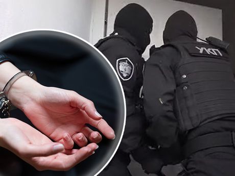 Policija UKP hapšenje lisice Policija UKP hapšenje lisice