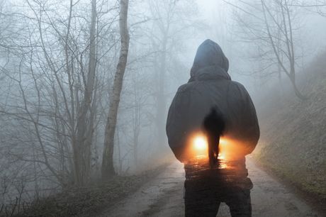 Misterija, Šuma, čovek Misterija, Šuma, čovek