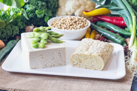 Tofu i tempeh Tofu i tempeh