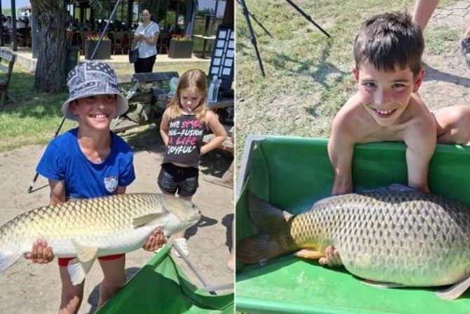 kapitalci, pecanje Bačko Petrovo selo kapitalci, pecanje Bačko Petrovo selo